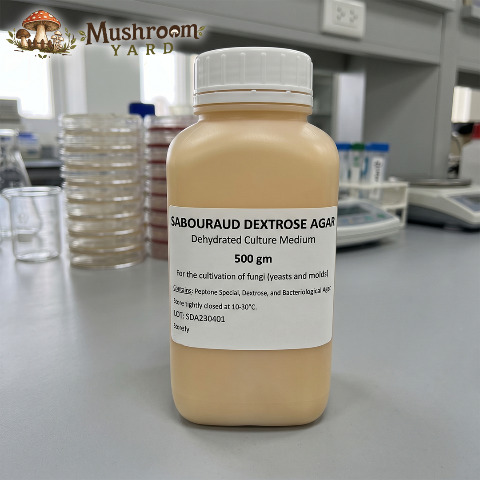 Sabouraud Dextrose Agar 500gm