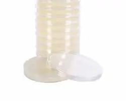 Lab Supplies