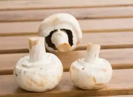 Fresh Mushroom